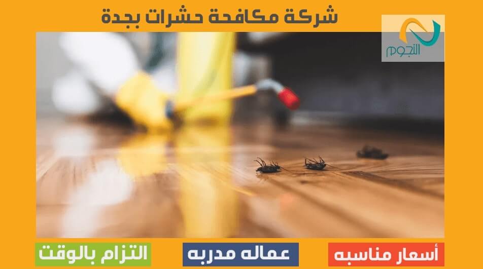 شركة مكافحة حشرات بجدة