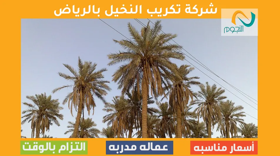 شركة تكريب النخيل بالرياض