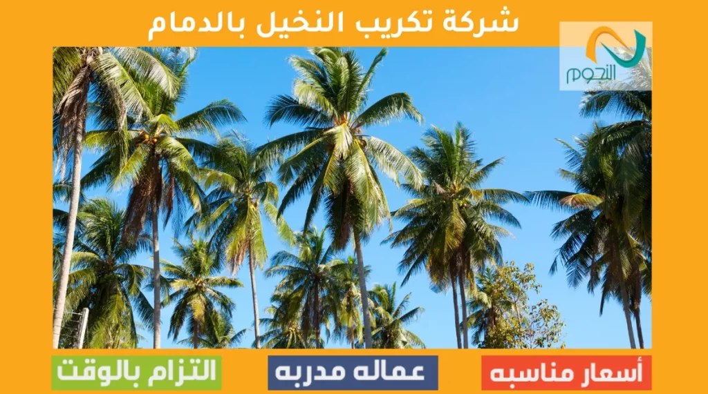 شركة تكريب النخيل بالدمام