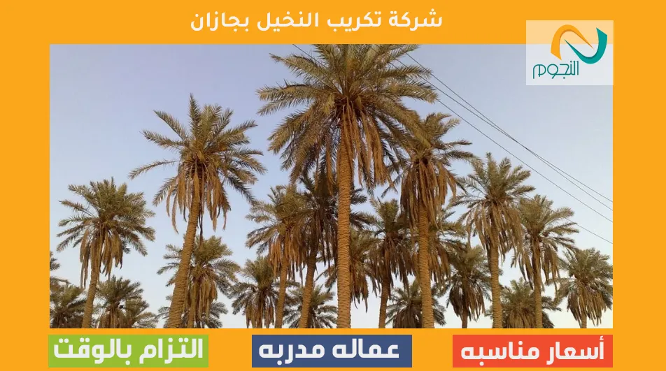 شركة تكريب النخيل بجازان