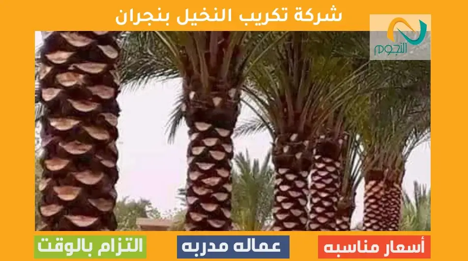 شركة تكريب النخيل بنجران